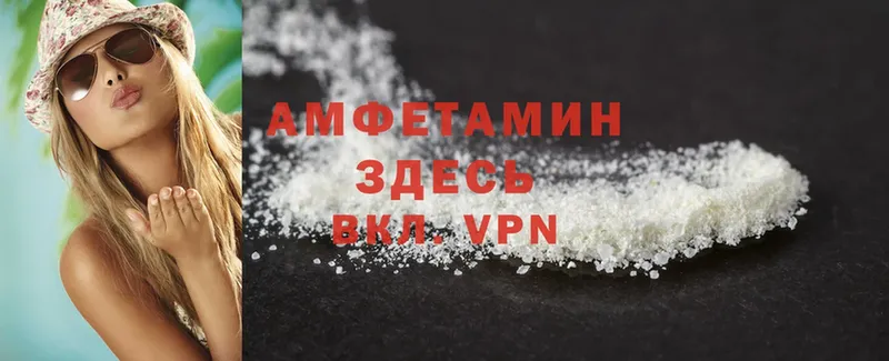 МЕГА ссылка  купить наркотики сайты  Гатчина  Amphetamine Premium 