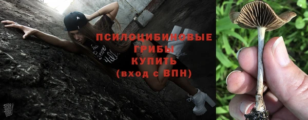 дмт Балахна