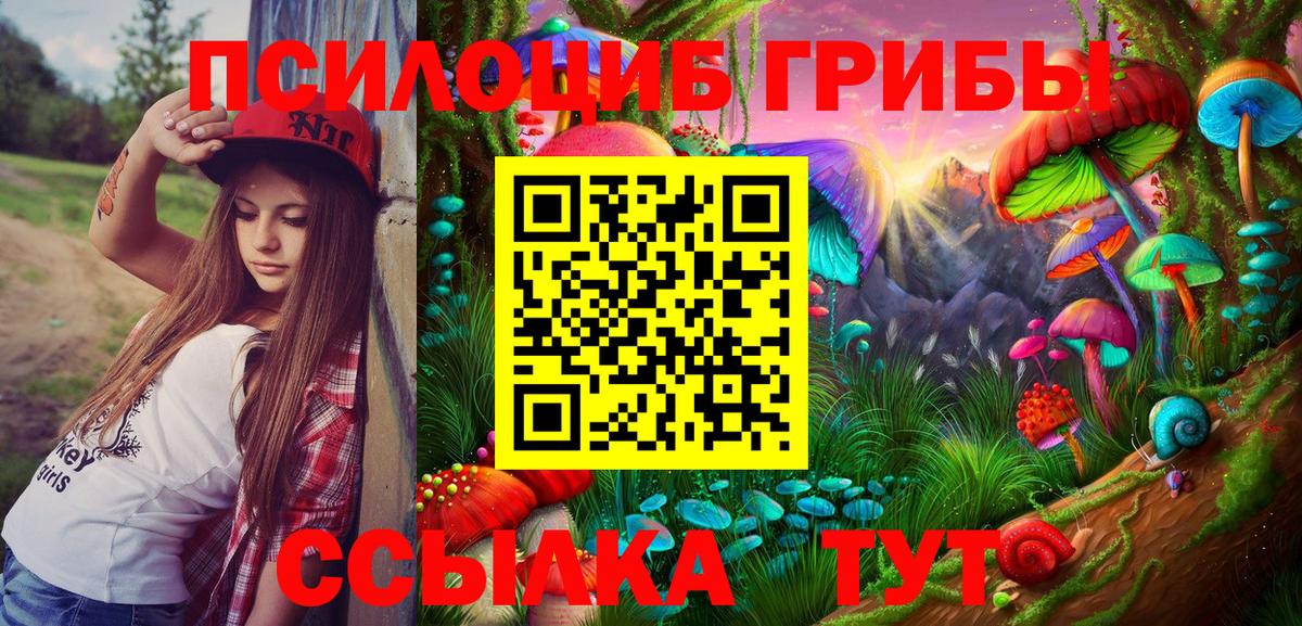 ТГК Гатчина