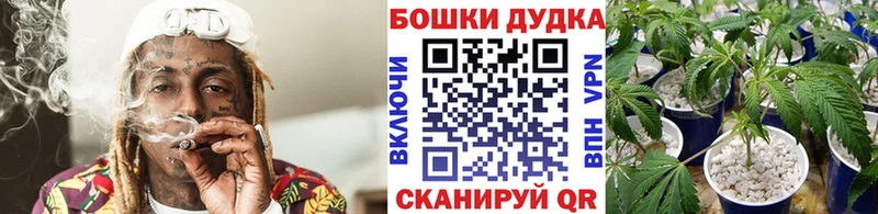 MEGA ссылка  Гатчина  Каннабис OG Kush  купить наркоту 